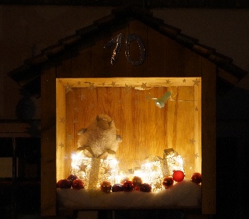 10. Dezember